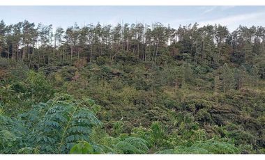 VENTA DE TERRENO POTENCIAL INVERSION  TURSTICA VA EL VALLE DE ANTON