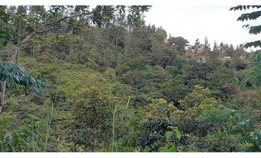 VENTA DE TERRENO POTENCIAL INVERSION  TURSTICA VA EL VALLE DE ANTON