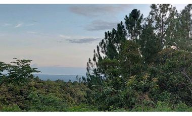 VENTA DE TERRENO POTENCIAL INVERSION  TURSTICA VA EL VALLE DE ANTON