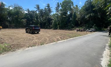 Tanah Pekarangan Bisa Di Cicil 1 THN Dp 90 Jt