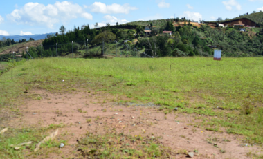 Lote industrial en venta En Guarne, Antioquia.
