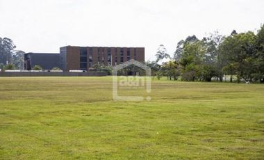 Bodega en Arriendo,  sector Llanogrande, sector Tablazo, Via Porvenir.