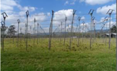 Lote en Venta en El Rosal