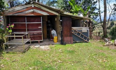 Finca en venta en Rionegro, sector La Mosquita, Vereda Hondita