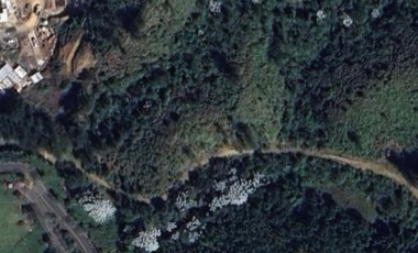 Local en venta en Pantanillo, Retiro