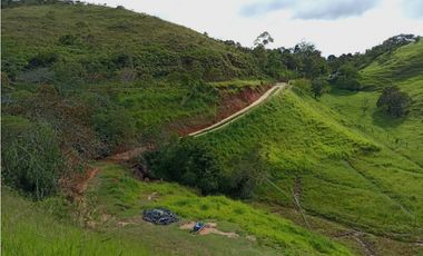 Lote en venta en Yolombo