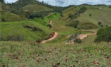 Lote en venta en Yolombo