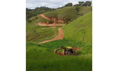 Lote en venta en Yolombo