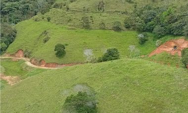 Lote en venta en Yolombo