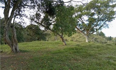 Lote en venta en Yolombo