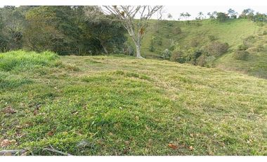 Lote en venta en Yolombo