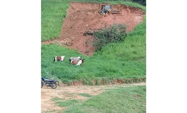 Lote en venta en Yolombo