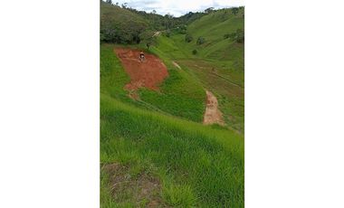 Lote en venta en Yolombo