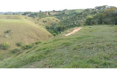 Lote en venta en Yolombo