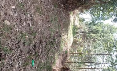 Lote industrial en venta en Copacabana, Antioquia.