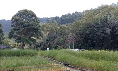 Lote industrial en venta en Copacabana, Antioquia.