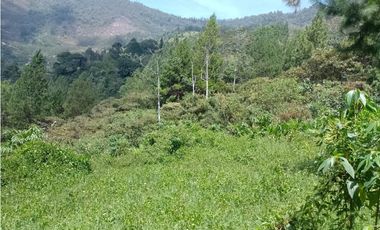 Lote industrial en venta en Copacabana, Antioquia.