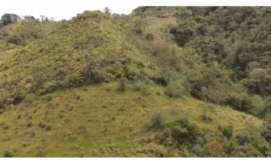 Finca en venta en el Carmen de Viboral, Antioquia.