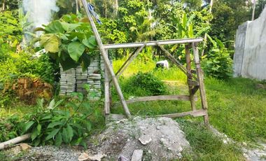 investasi tanah di kulon progo dekat bandara yia kulon progo jogja