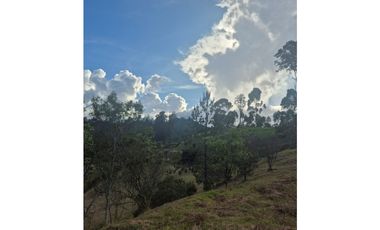 HERMOSO LOTE EN VENTA EN HORIZONTES EN EL RETIRO (VA LA CEJA)