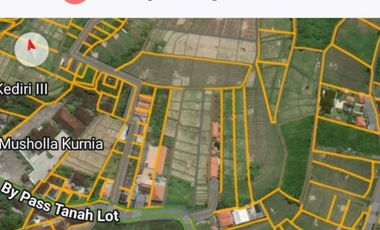 Tanah Sewa komersil Jalan utama Nyanyi - Tanah Lot tabanan