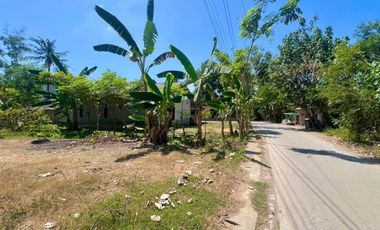 Tanah di central kuta Mandalika Lombok. Cocok untuk villa