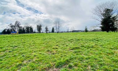 Parcela en venta en OSORNO