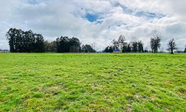 Parcela en venta en OSORNO