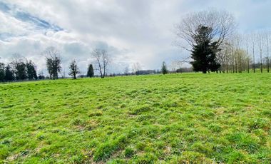 Parcela en venta en OSORNO