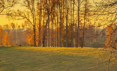 Parcela en Venta en Huicapi