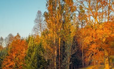 Parcela en Venta en Huicapi