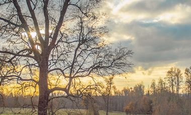 Parcela en Venta en Huicapi