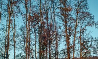 Parcela en Venta en Huicapi