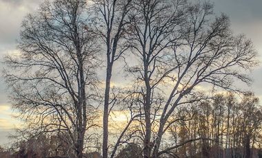 Parcela en Venta en Huicapi