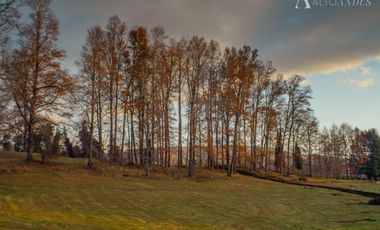 Parcela en Venta en Huicapi