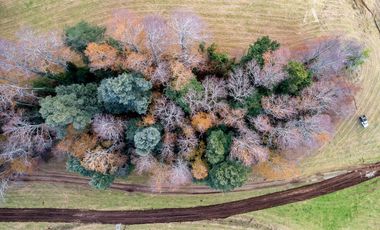 Parcela en Venta en Huicapi
