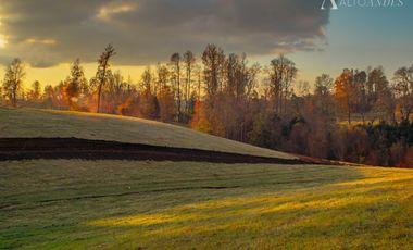 Parcela en Venta en Huicapi