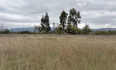 Parcela en Venta en Condominio Las Pataguas Lote 12