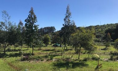 Parcela en Venta en Fundo San José de Cahuil, Parcela 4