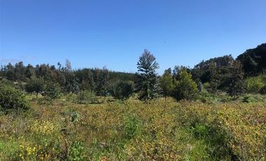 Parcela en Venta en Fundo San José de Cahuil, Parcela 4