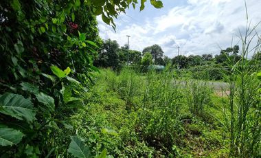 Tanah Serpong Lokasi Strategis Dekat BSD Tangerang