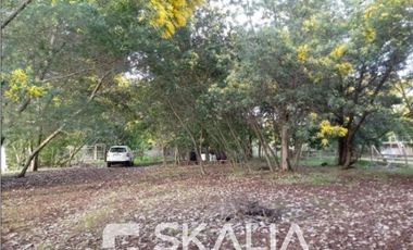 Parcela en Venta en SECTOR HIGUERILLAS, YUMBEL.