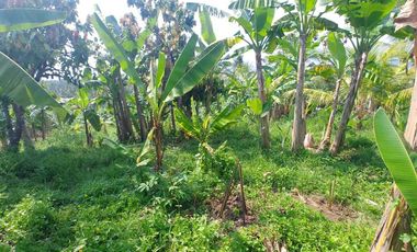 Dijual murah tanah sertifikat SHM lokasi strategis di jembrana bali