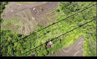 Dijual murah tanah sertifikat SHM lokasi strategis di jembrana bali