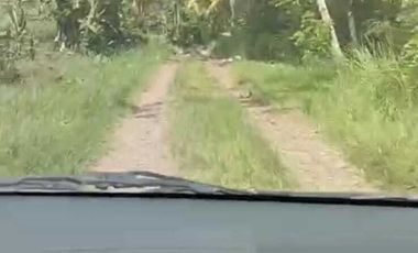 Dijual murah tanah sertifikat SHM lokasi strategis di jembrana bali