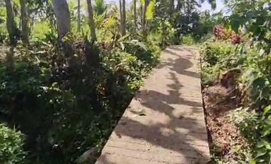 Dijual murah tanah sertifikat SHM lokasi strategis di jembrana bali