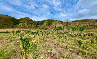 Tanah murah dekat pantai lancing dan tampah lombok. Cocok untuk villa