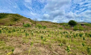 Tanah murah dekat pantai lancing dan tampah lombok. Cocok untuk villa