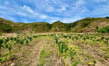 Tanah murah dekat pantai lancing dan tampah lombok. Cocok untuk villa