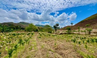 Tanah murah dekat pantai lancing dan tampah lombok. Cocok untuk villa